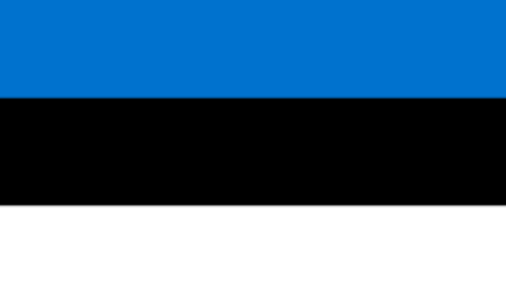 Eesti keele B2- taseme eksamiks ettevalmistav koolitus
